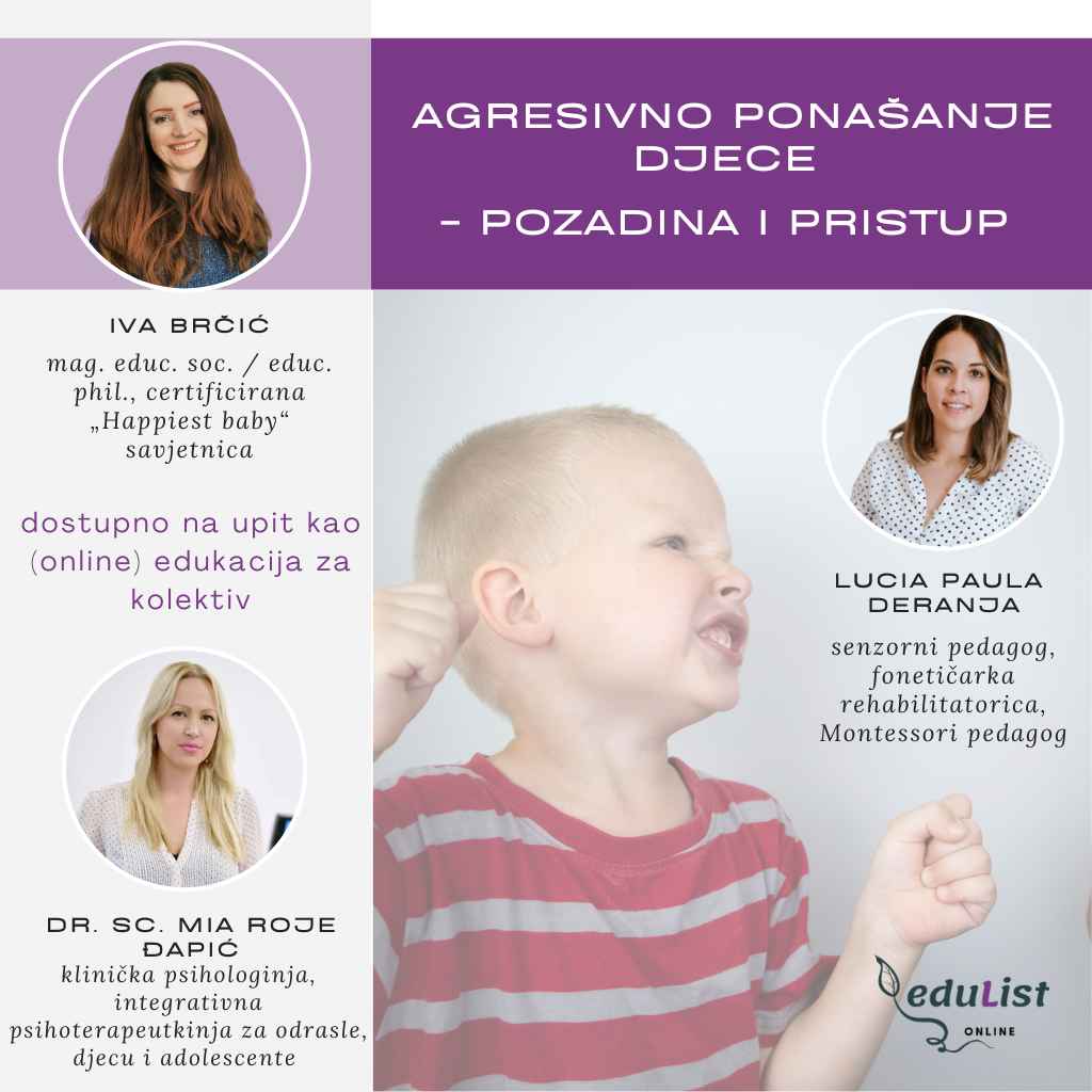 Interdisciplinarni pristup u edukaciji o agresivnom ponašanju djece